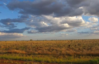 pilbara